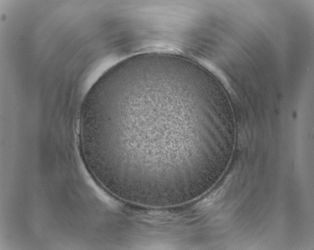 X0000088581383200706081112