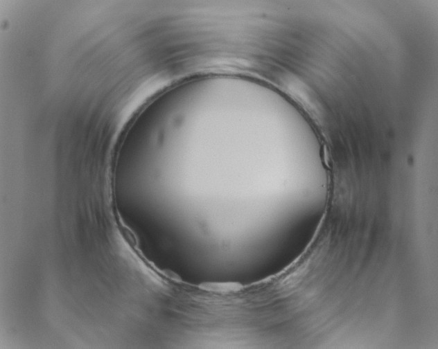 X0000088581384200706081112