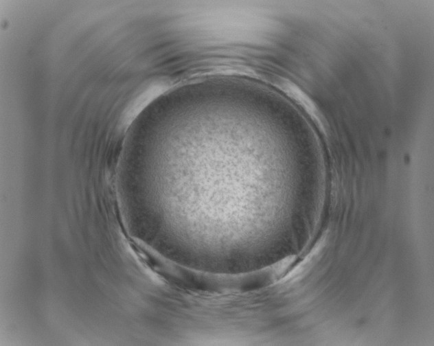 X0000088581385200706081112