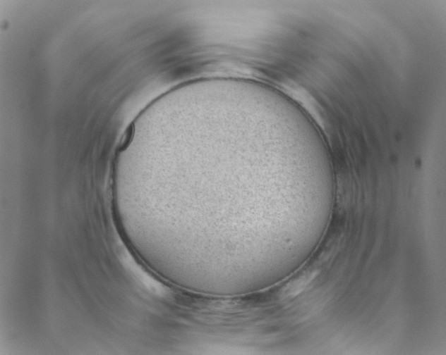 X0000088581387200706081112