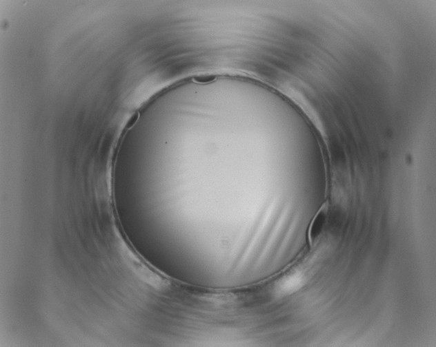 X0000088581388200706081112