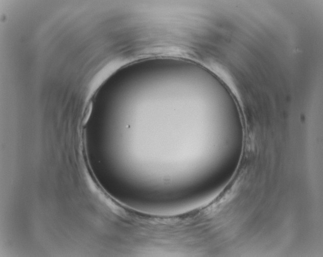 X0000088581389200706081112