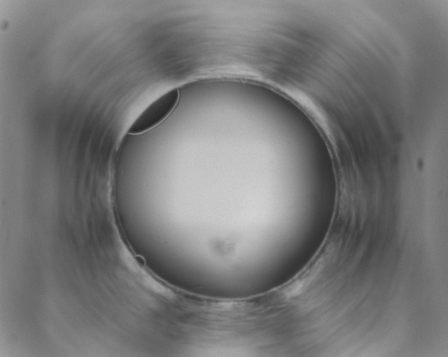 X0000088581390200706081112