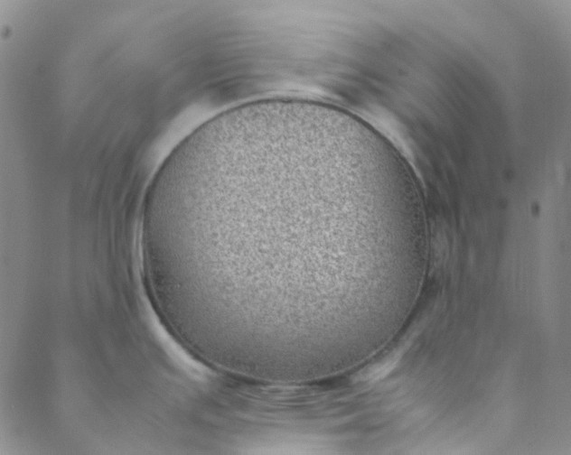 X0000088581391200706081112