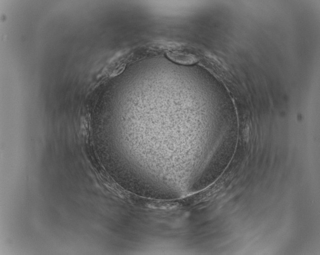 X0000088581397200706081111