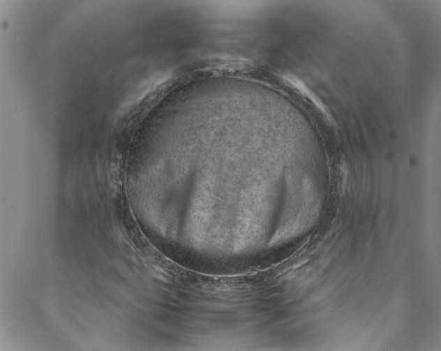 X0000088581399200706081111