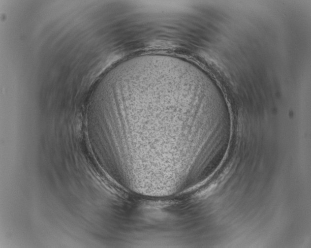 X0000088581401200706081111