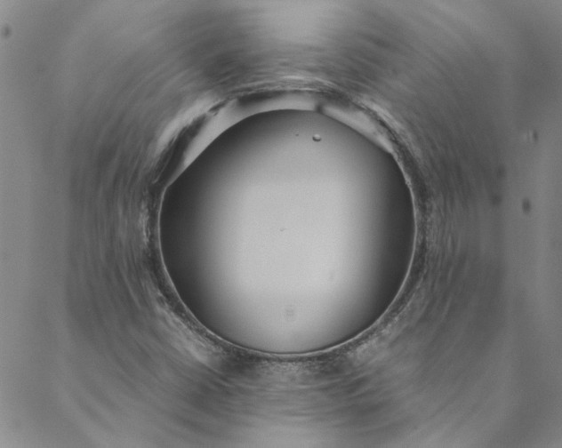 X0000088581402200706081111