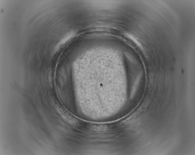 X0000088581403200706081111