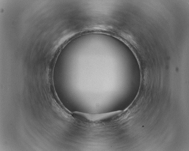 X0000088581404200706081111