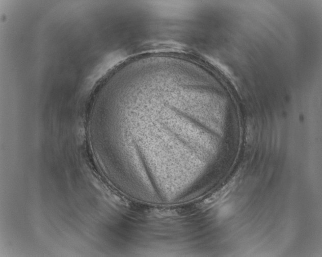 X0000088581407200706081111