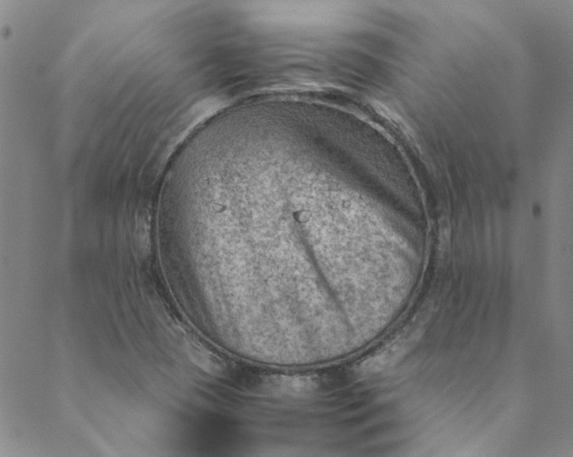 X0000088581409200706081111