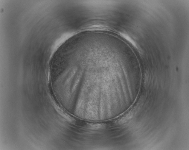 X0000088581413200706081111