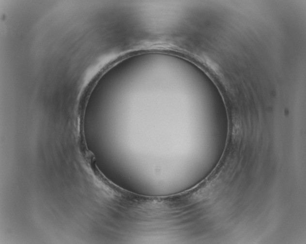 X0000088581414200706081111