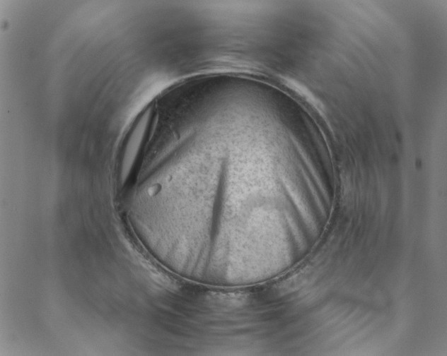 X0000088581415200706081111