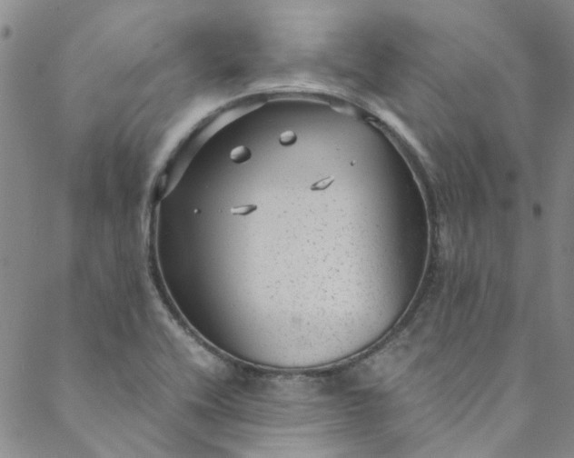 X0000088581416200706081111