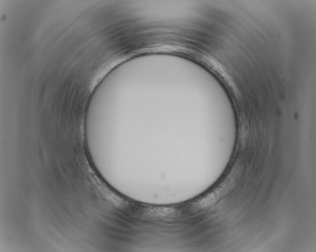 X0000088581417200706081111