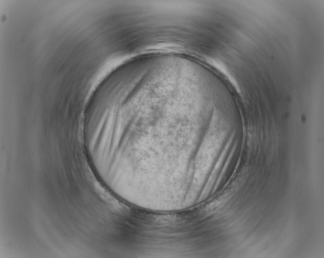 X0000088581421200706081111