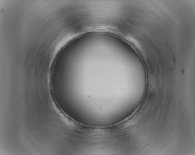 X0000088581424200706081111