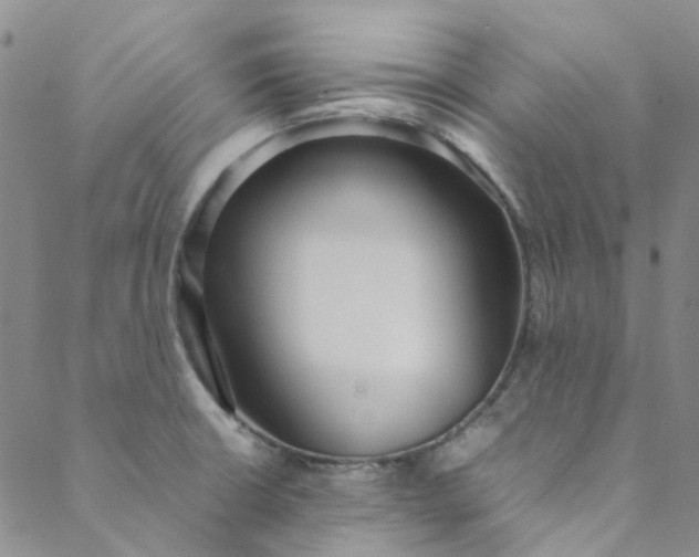 X0000088581426200706081111