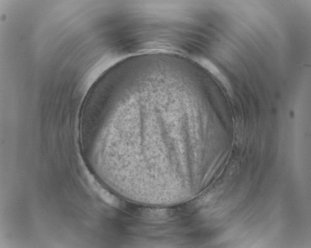 X0000088581431200706081112