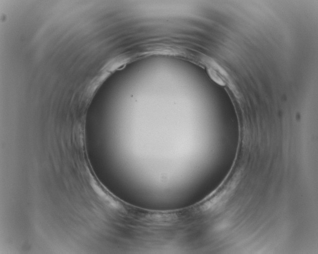 X0000088581433200706081112