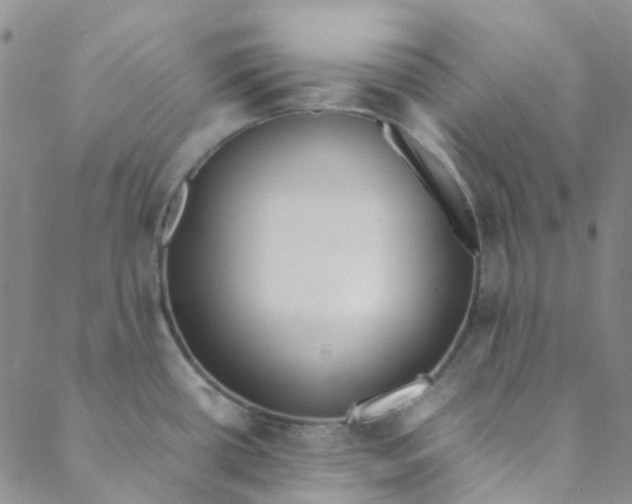 X0000088581434200706081112