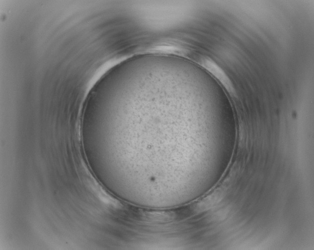 X0000088581436200706081112