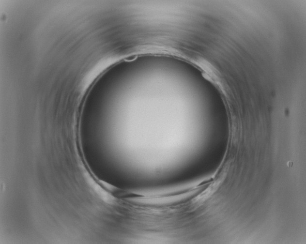 X0000088581438200706081112