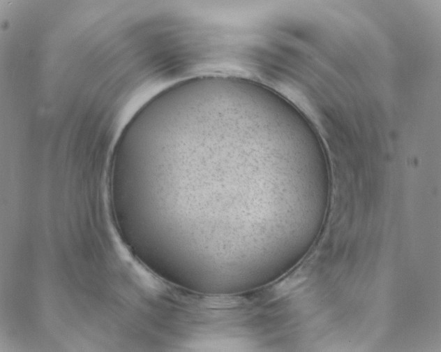 X0000088581440200706081112