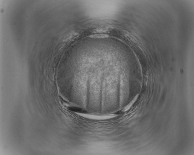 X0000088581441200706081111