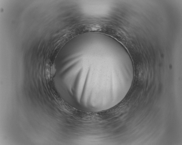 X0000088581442200706081111