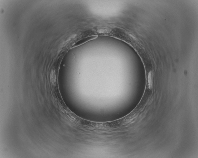 X0000088581443200706081111