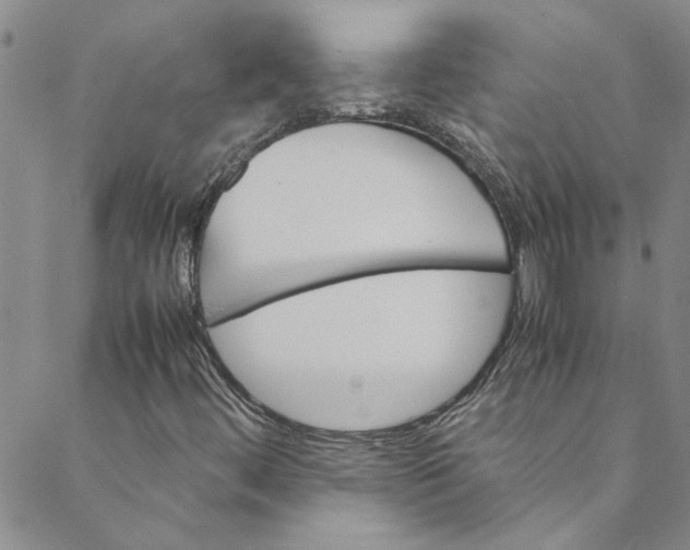 X0000088581444200706081111