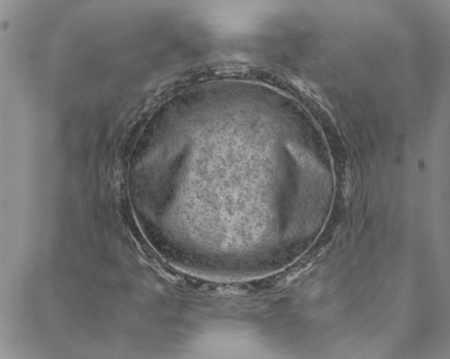 X0000088581445200706081111