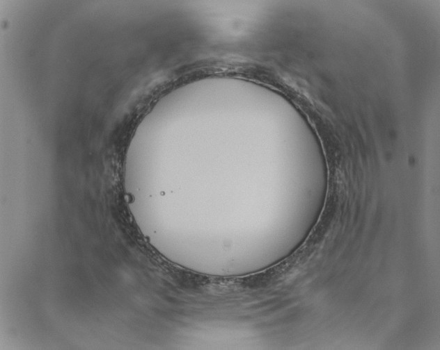 X0000088581447200706081111