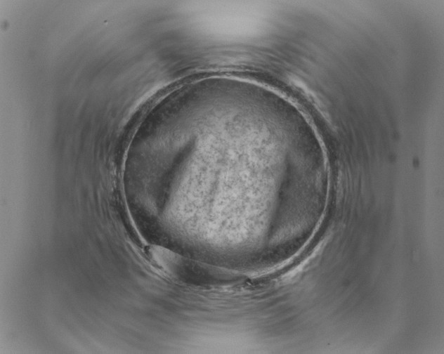 X0000088581449200706081111