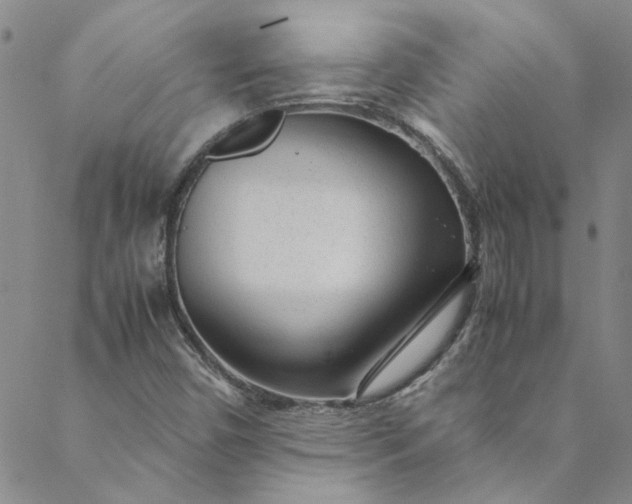 X0000088581450200706081111