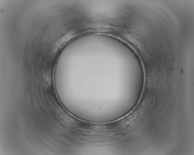 X0000088581451200706081111