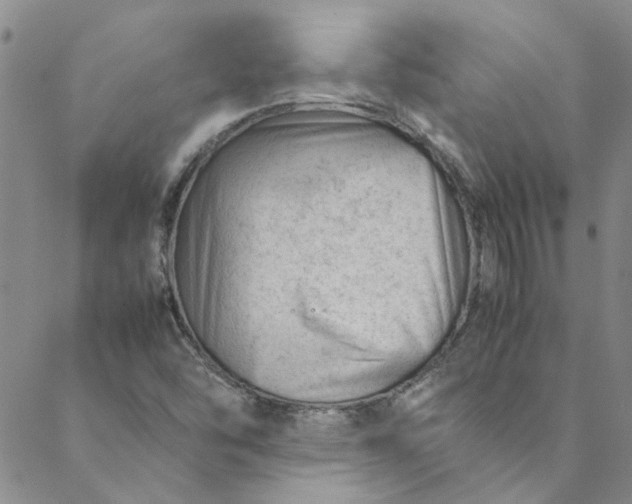 X0000088581454200706081111