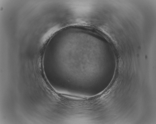 X0000088581455200706081111