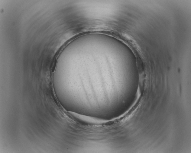 X0000088581457200706081111