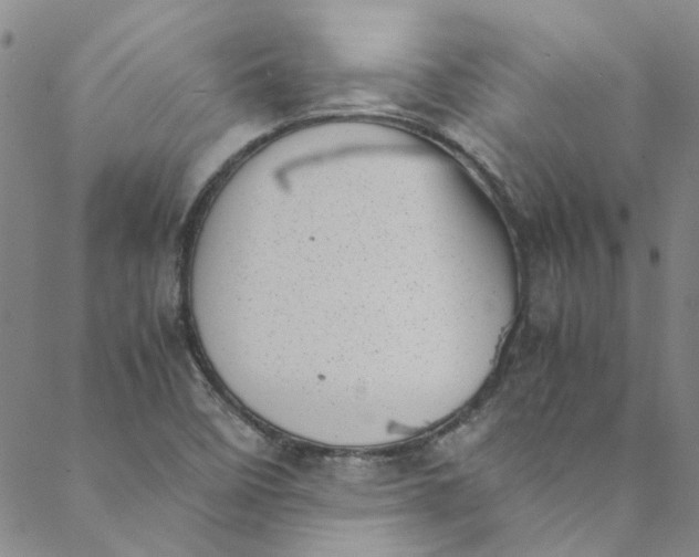 X0000088581458200706081111