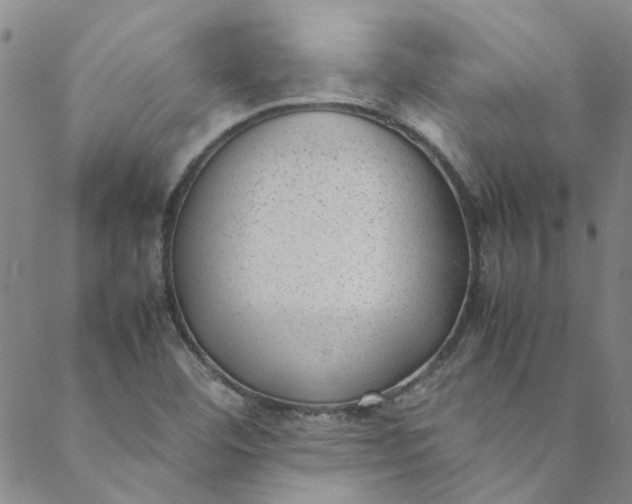 X0000088581460200706081111