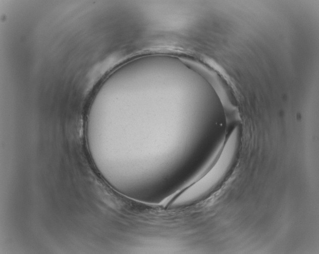 X0000088581461200706081111