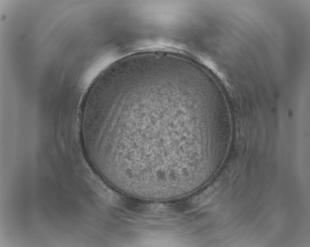 X0000088581463200706081111