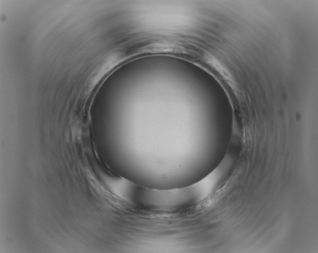 X0000088581465200706081111