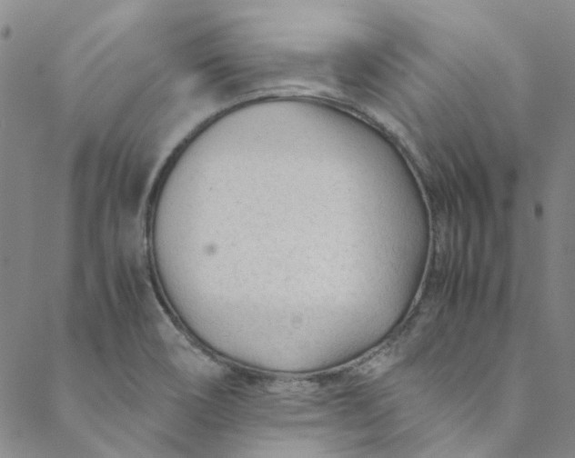 X0000088581466200706081110