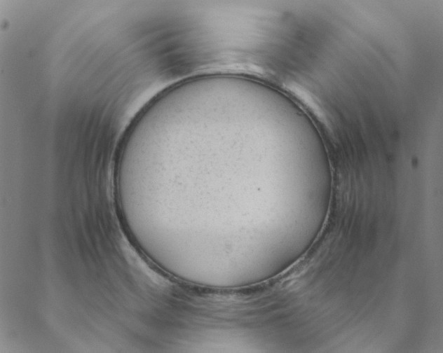 X0000088581468200706081110