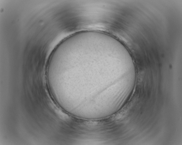 X0000088581470200706081110